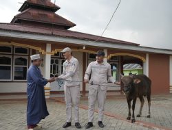 Peduli dan Komitmen Berbagi, PT IWIP dan WBN Berikan Puluhan Sapi Kurban 
