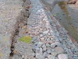 Belum Setahun Dibangun dengan Anggaran Miliaran Rupiah, Proyek Bronjong di Desa Jojame Nyaris Ambruk