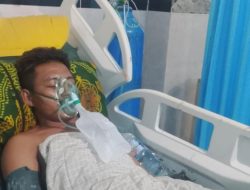 Penikaman di Halmahera Selatan: Korban Kritis, Pelaku Buron, Warga Geram hingga Rumah Diserang