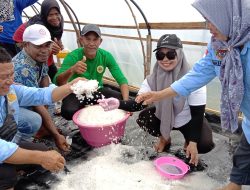 Desa Umiyal Pulau Yoi Sukses Bangun Tambak Garam Modern Pertama di Maluku Utara
