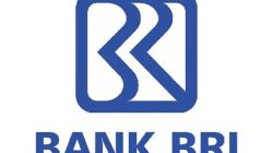 Keamanan Dipertanyakan: Dana Rp13,5 Juta Lenyap, BRI Belum Berikan Penjelasan Jelas