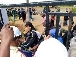 Soal Demo Ricuh di Kawasi, PMII Halsel Dukung Langkah Hukum Harita Nickel