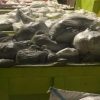 KPLP Disorot Soal Dugaan Pemuatan Tanah Ilegal di Pelabuhan Kupal, Syahbandar-Dishub Lempar Kewenangan