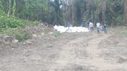 DLH dan UPTD KPH Halsel Diduga Jadi Dalang Pengambilan Tanah Ilegal