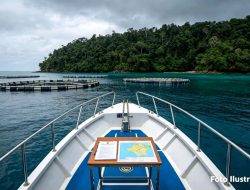 Beroperasi Puluhan Tahun Tanpa KKPRL Resmi, Aktivitas PT Karya Alam Bahari di Obi Dipertanyakan