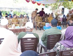 Perkuat Ekonomi Masyarakat, Pemda Halsel Bagikan 550 Ribu Bibit Kelapa ke 200 Kelompok Tani